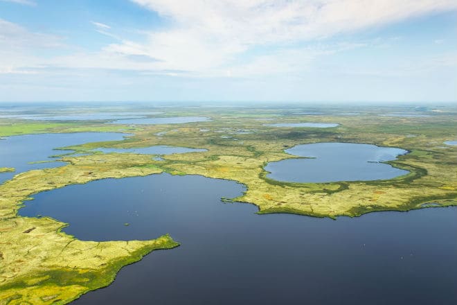 Васюганские озера в одноименном заповеднике