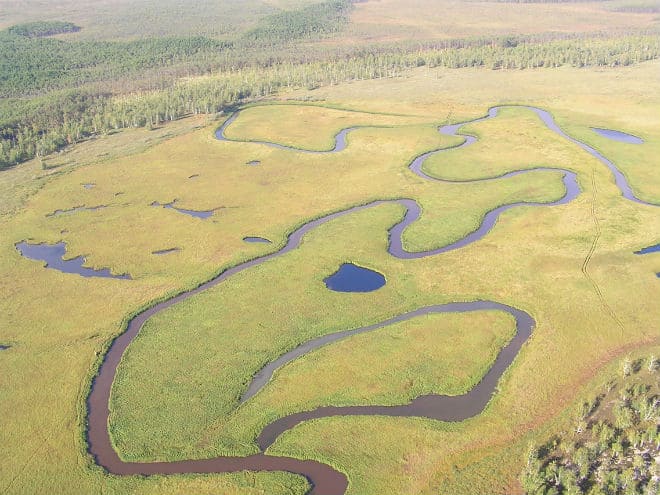 Васюганские болота в Западной Сибири