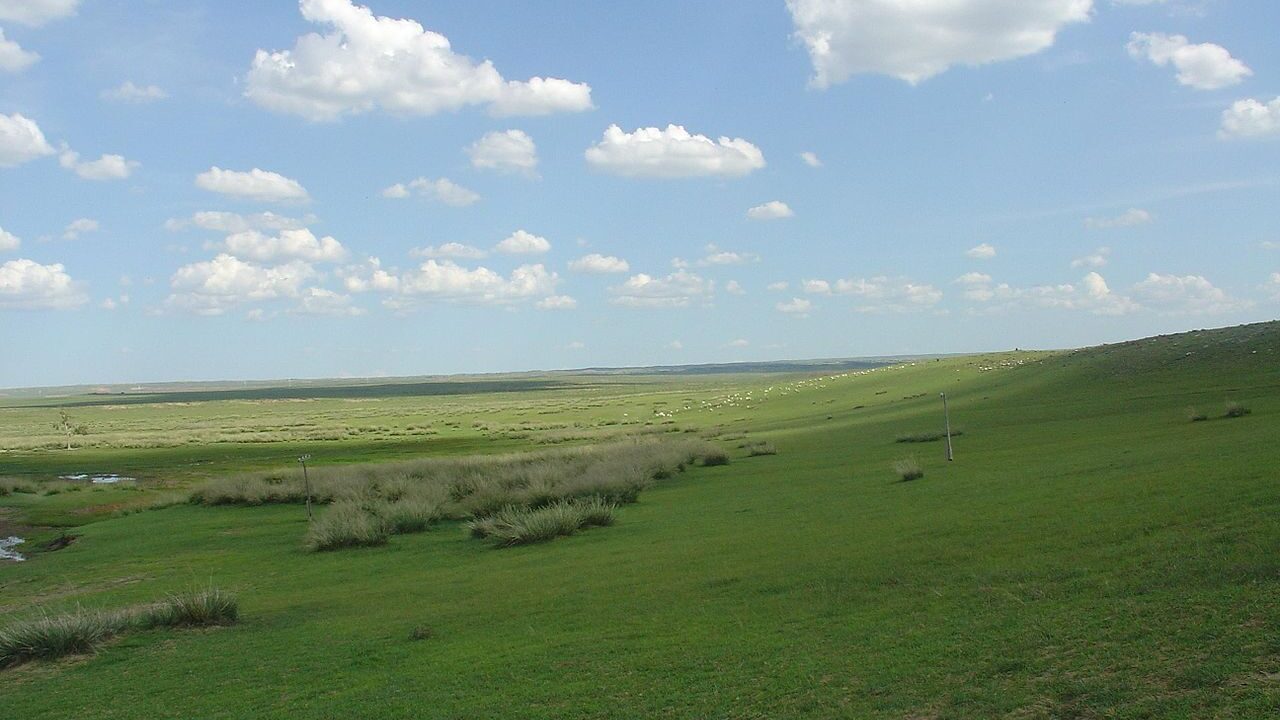 Монголо-маньчжурский пастбищный регион восточной евразийской степи