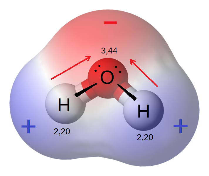 Молекула воды, пример поляризованной молекулы. Числами указана электроотрицательность — свойство атома в молекуле смещать к себе общие электронные пары. Электроотрицательность атома кислорода (3,4) больше электроотрицательности атома водорода (2,2).электронные пары. Электроотрицательность атома кислорода (3,4) больше электроотрицательности атома водорода (2,2).