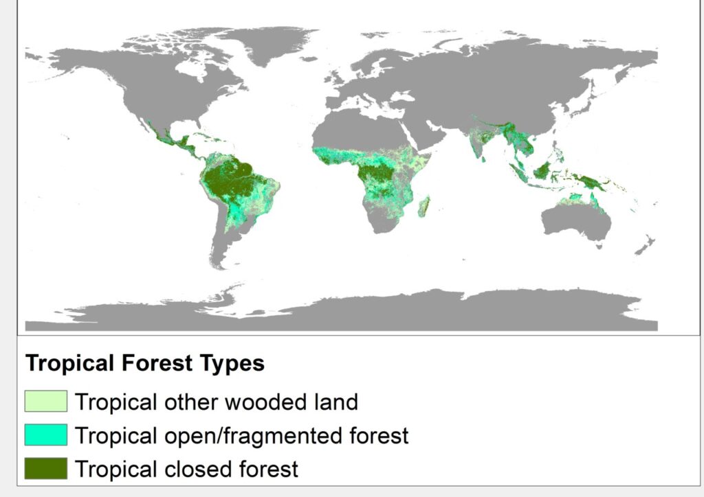 Территория тропических лесов из отчета ООН
