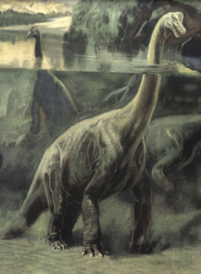 Рептилии, Брахиозавр, реконструкция