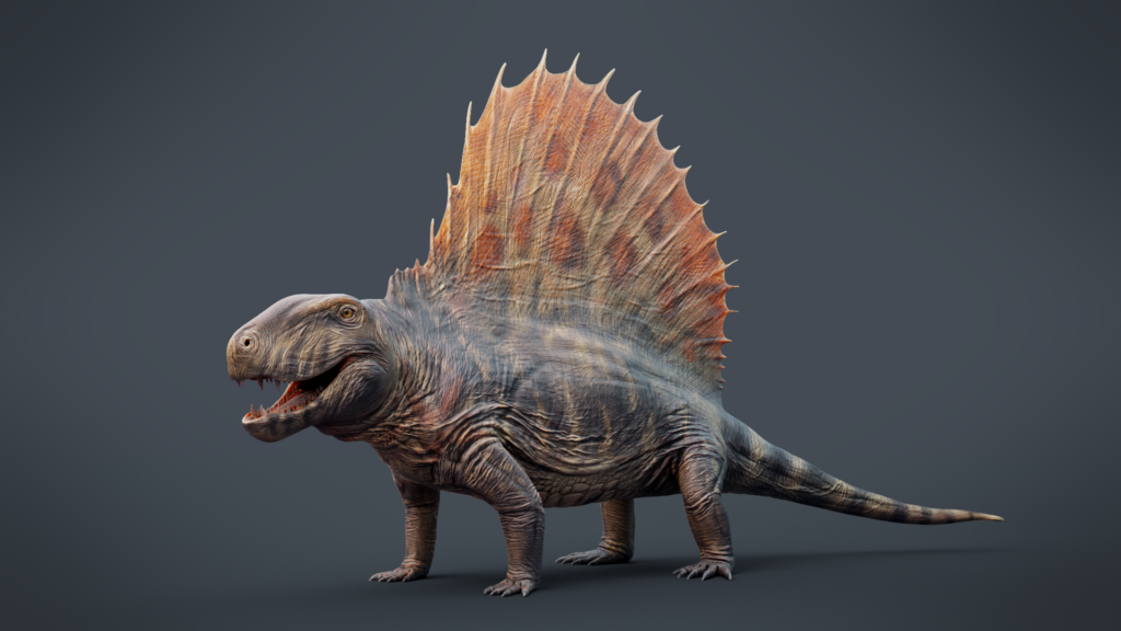 Рептилии: Современная реконструкция диметродона вида Dimetrodon grandis