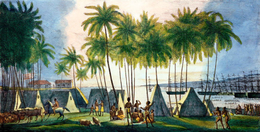 Гавайские острова: Порт Гонолулу, 1816 год. Рисунок выполнен художником Логгином Андреевичем Хорисом во время кругосветного путешествия в 1815—1818 годах